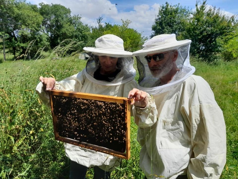 Domaine Des Quatre Terres Villa Lesparre-Médoc Eksteriør bilde